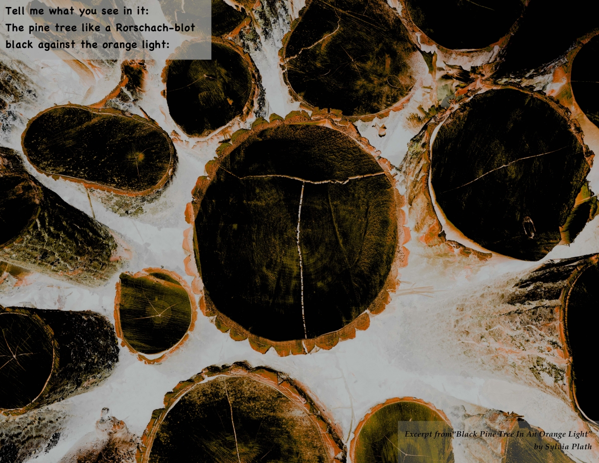 In the Grain of Time