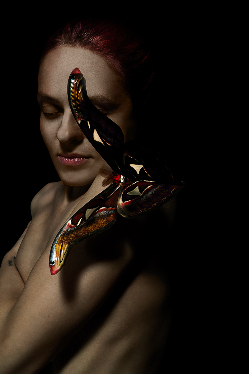 The Dream of the Butterfly