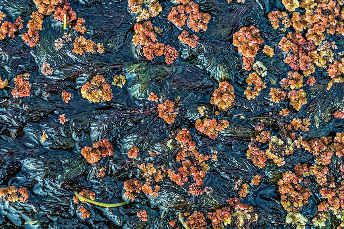 Beyond water's egdes
