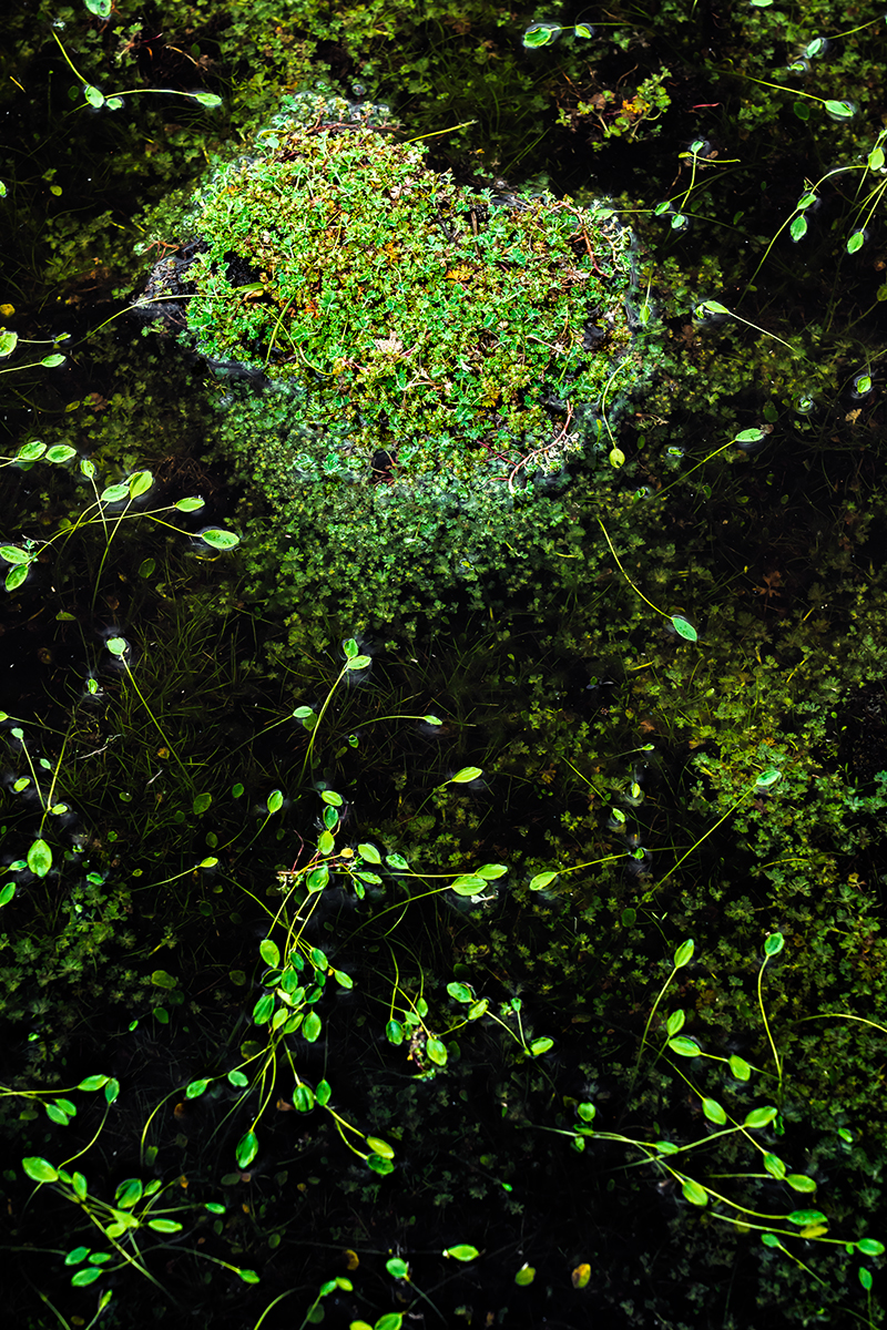 Beyond water's egdes