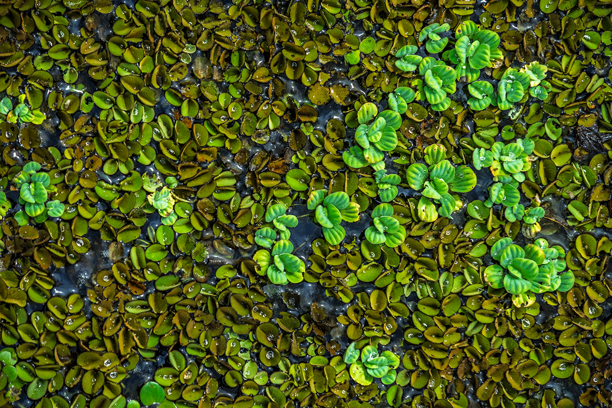 Beyond water's egdes