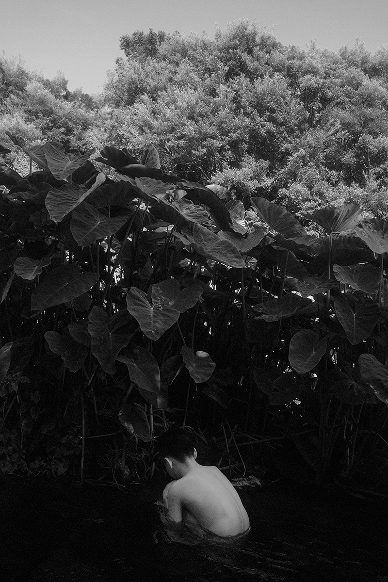 Black Dream
