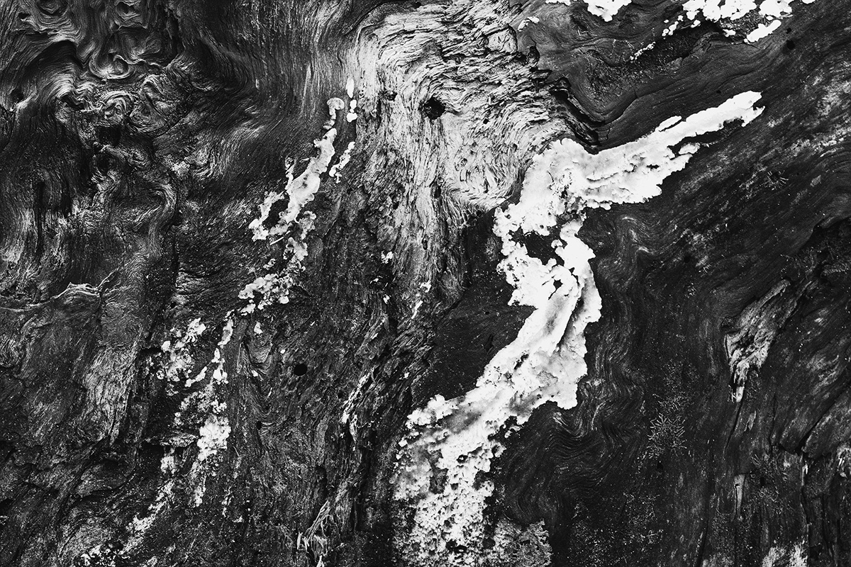 SurfaceTruths : OntologicalScars