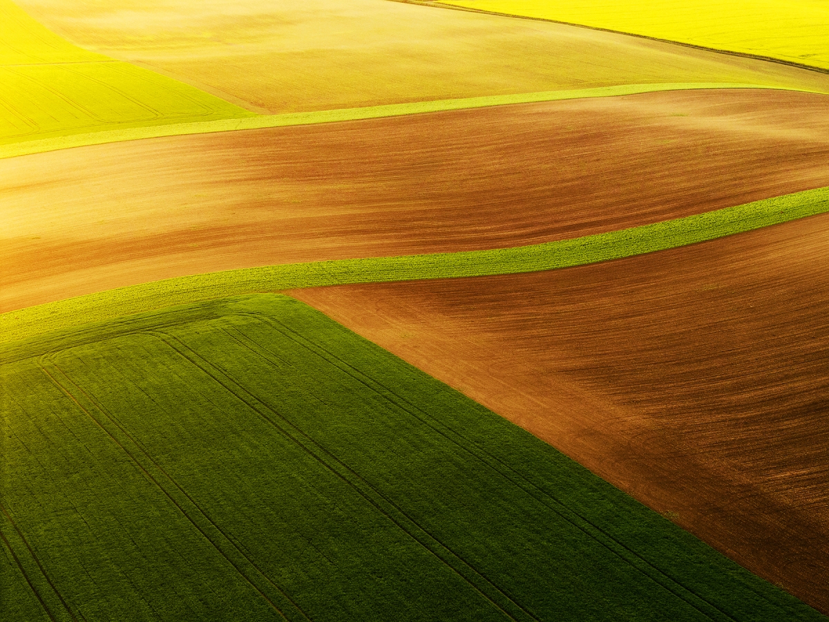 Moravian tuscany
