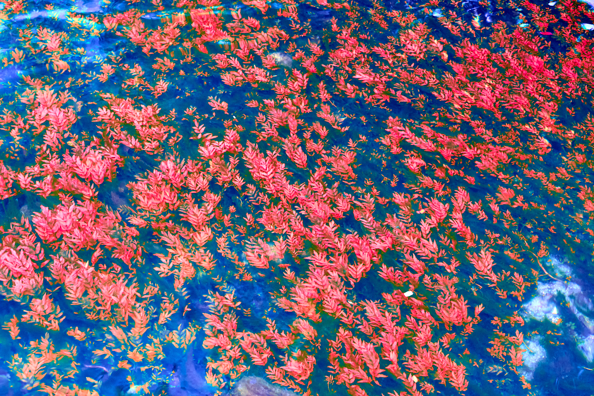 Between Surface and Light