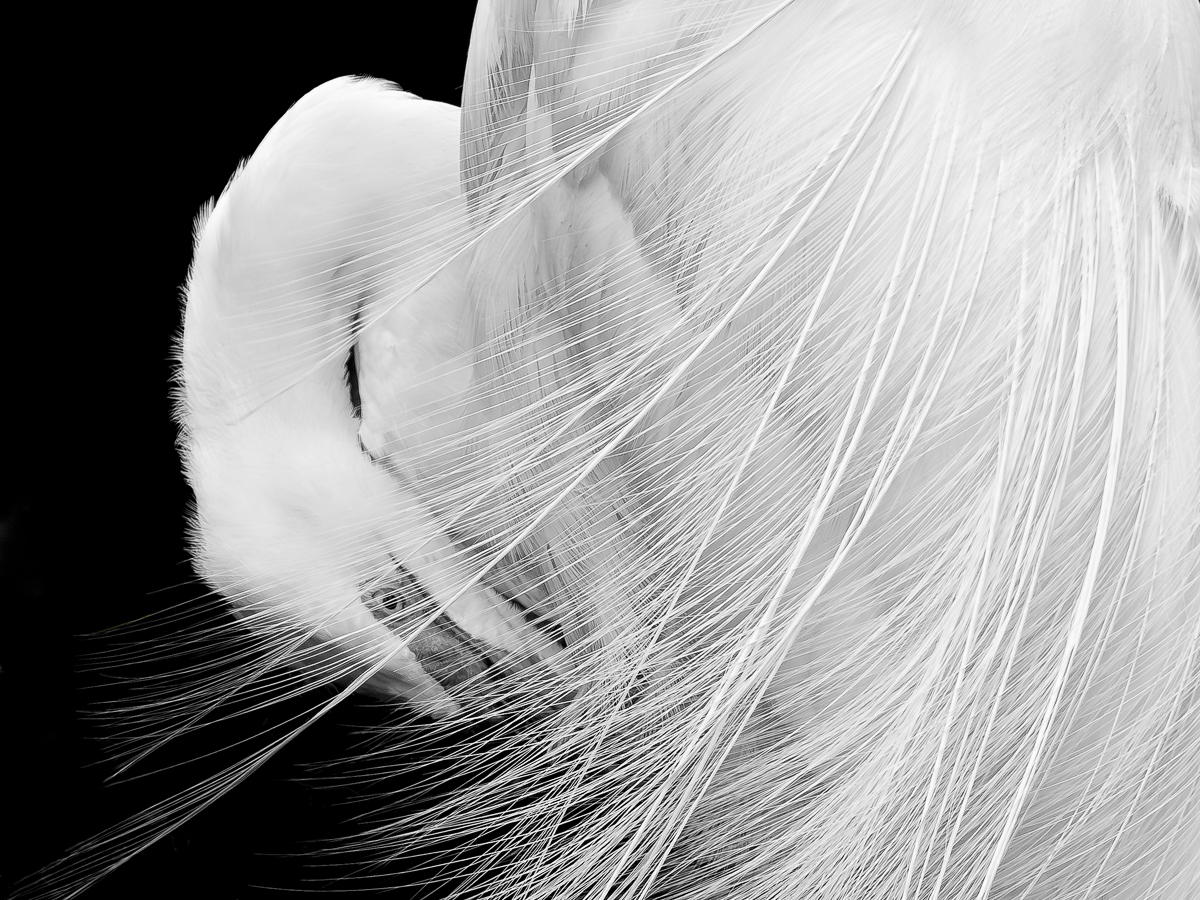 Inward