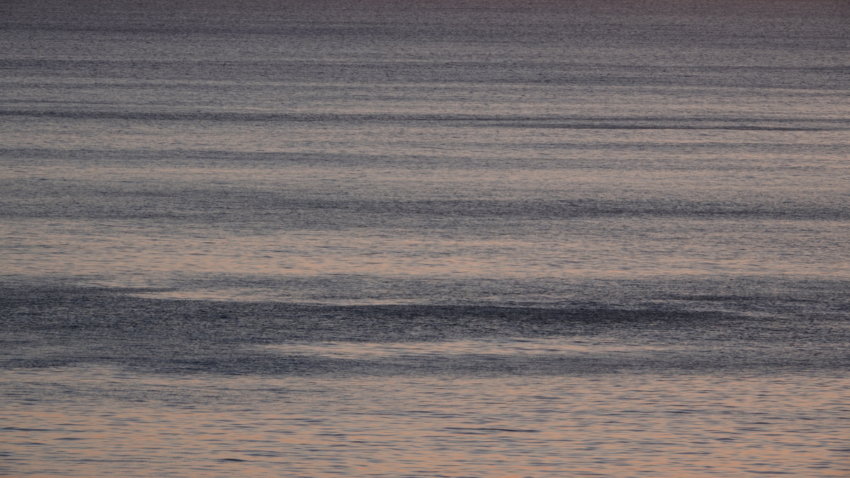 Twilight Dissolving into Silver