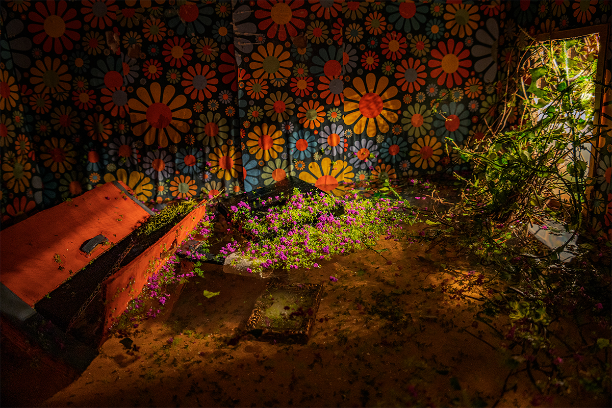 Big Things Small World