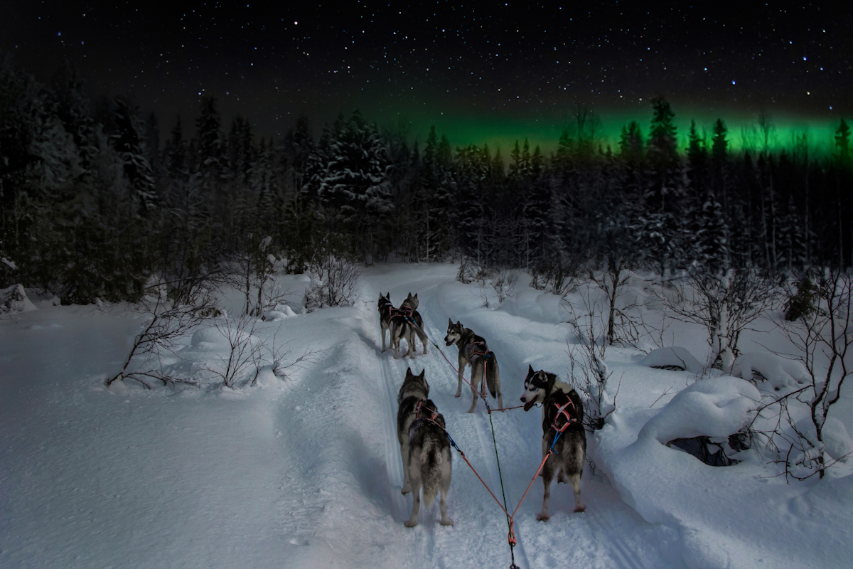 Chasing the Northern Lights