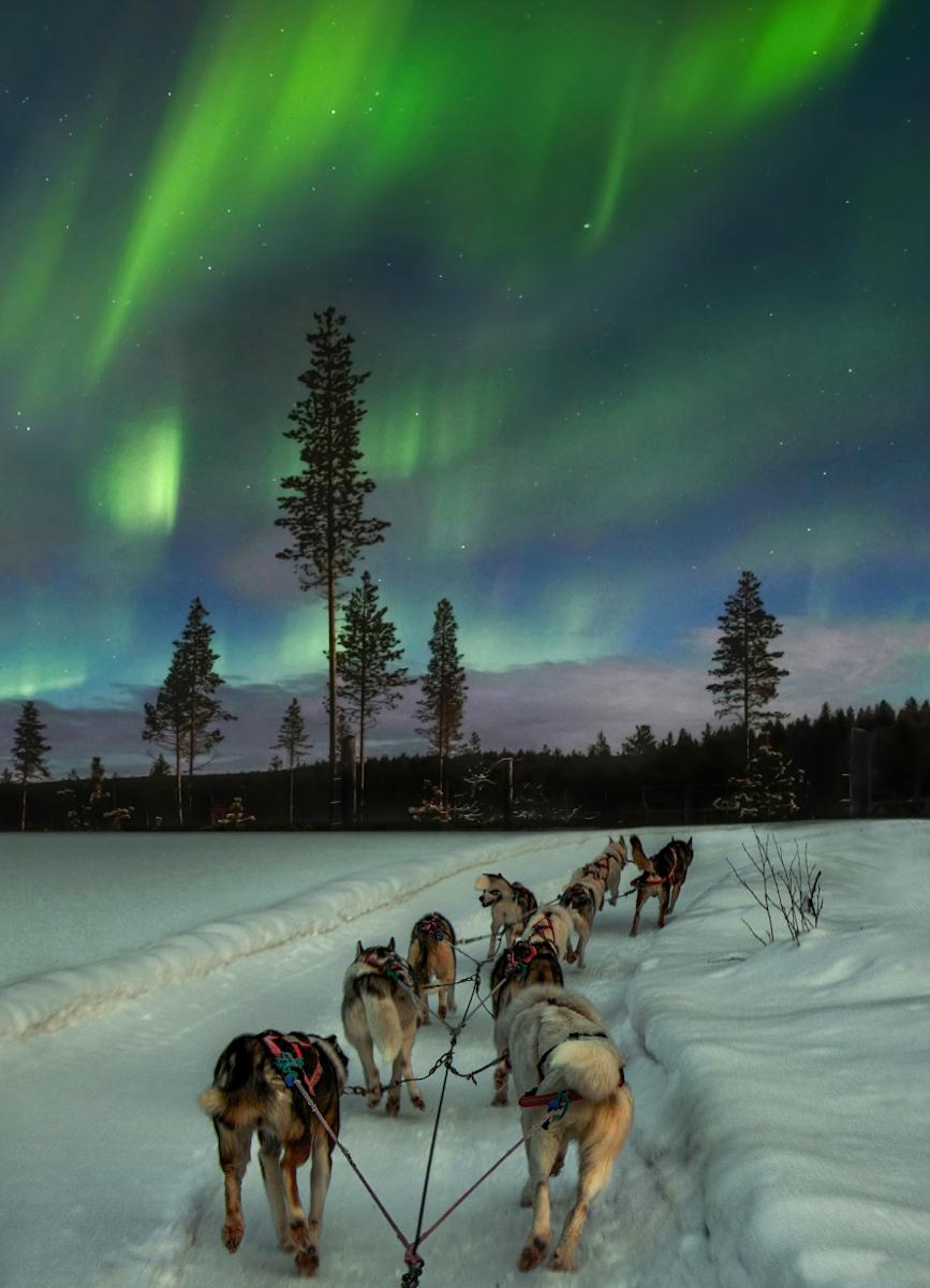 Lapland Explorer