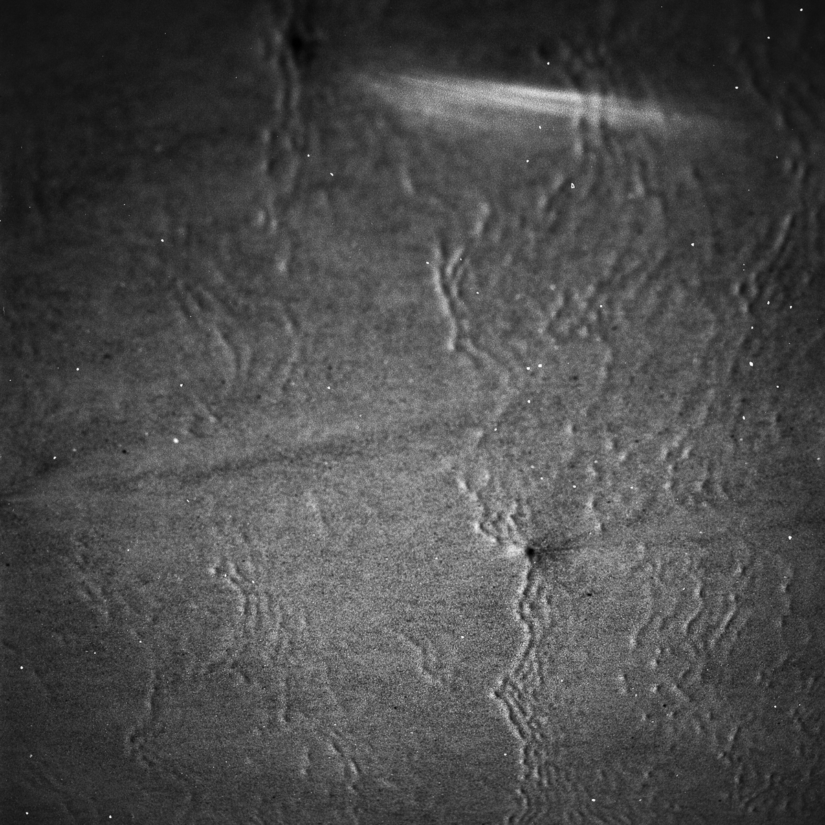 Edge-North Atlantic Ocean