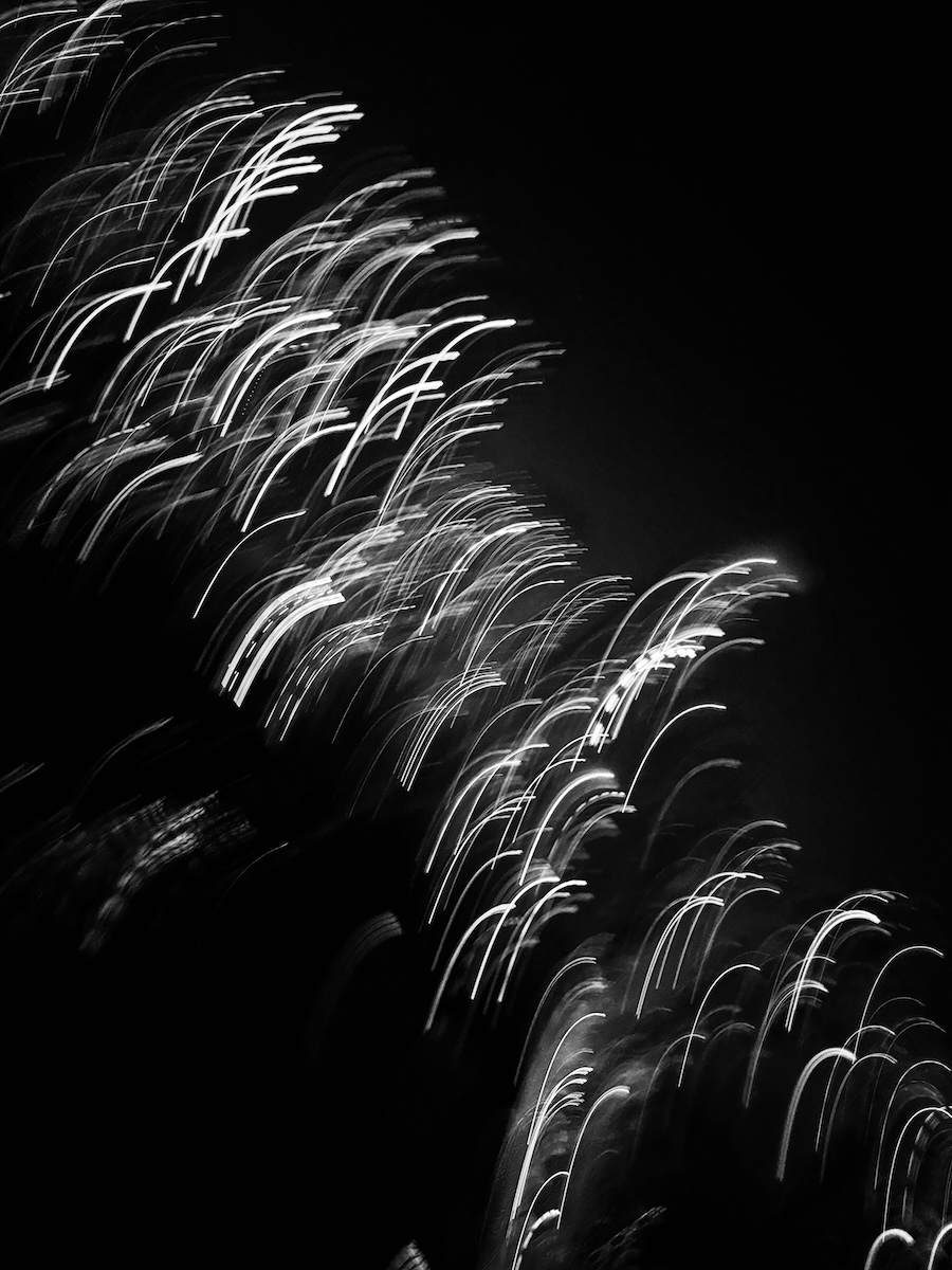 ChasingLight by NashMith