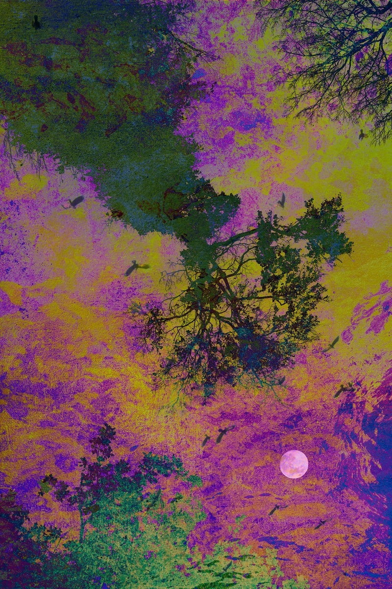 Five Echoes of One Truth