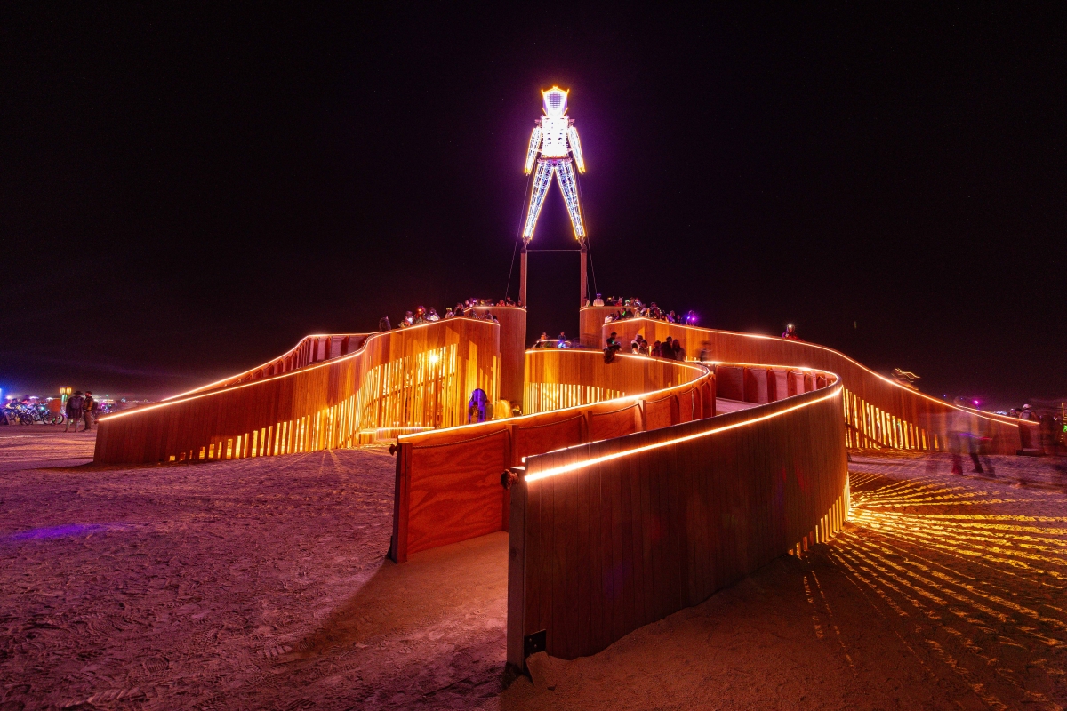 Nocturnal Wonders 