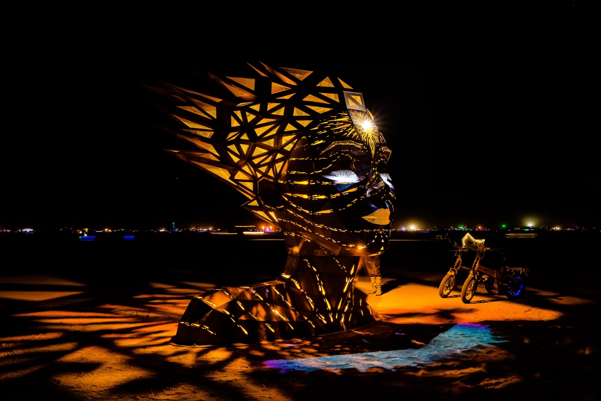 Nocturnal Wonders 