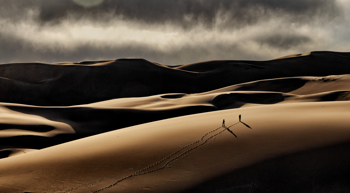 Dune Tracks