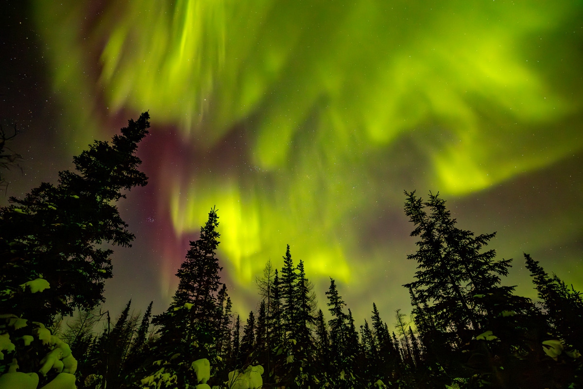 Flora and Aurora 