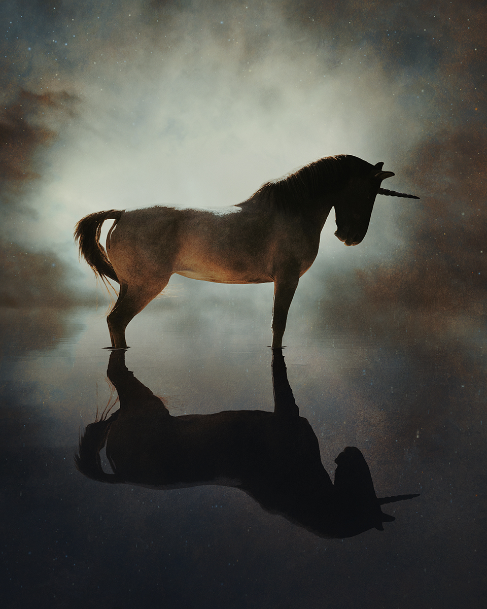 The Unicorn Reflected