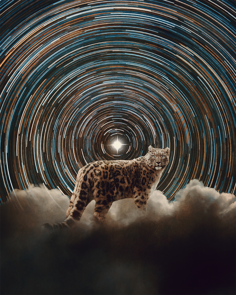Polaris