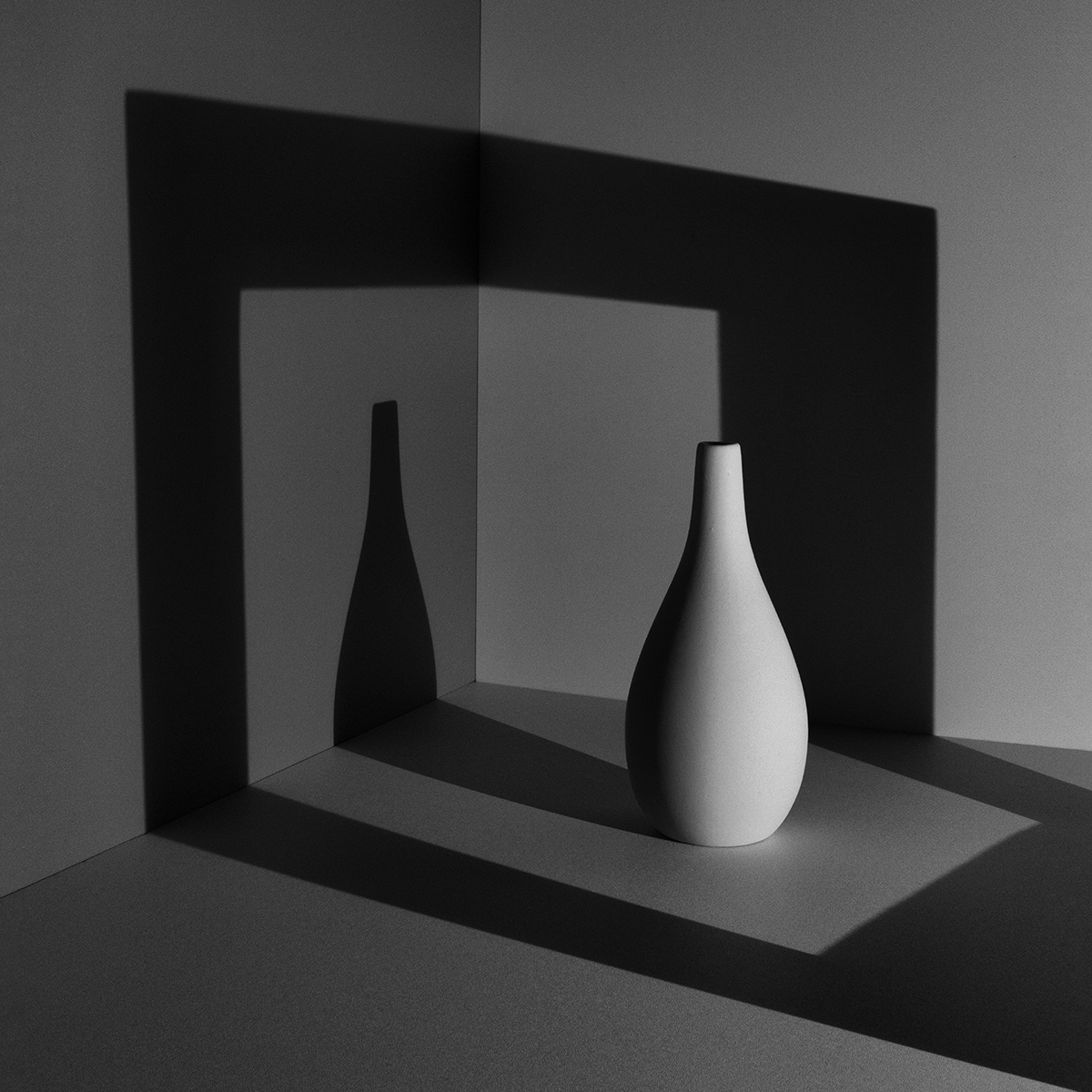 IN PRAISE OF SHADOWS