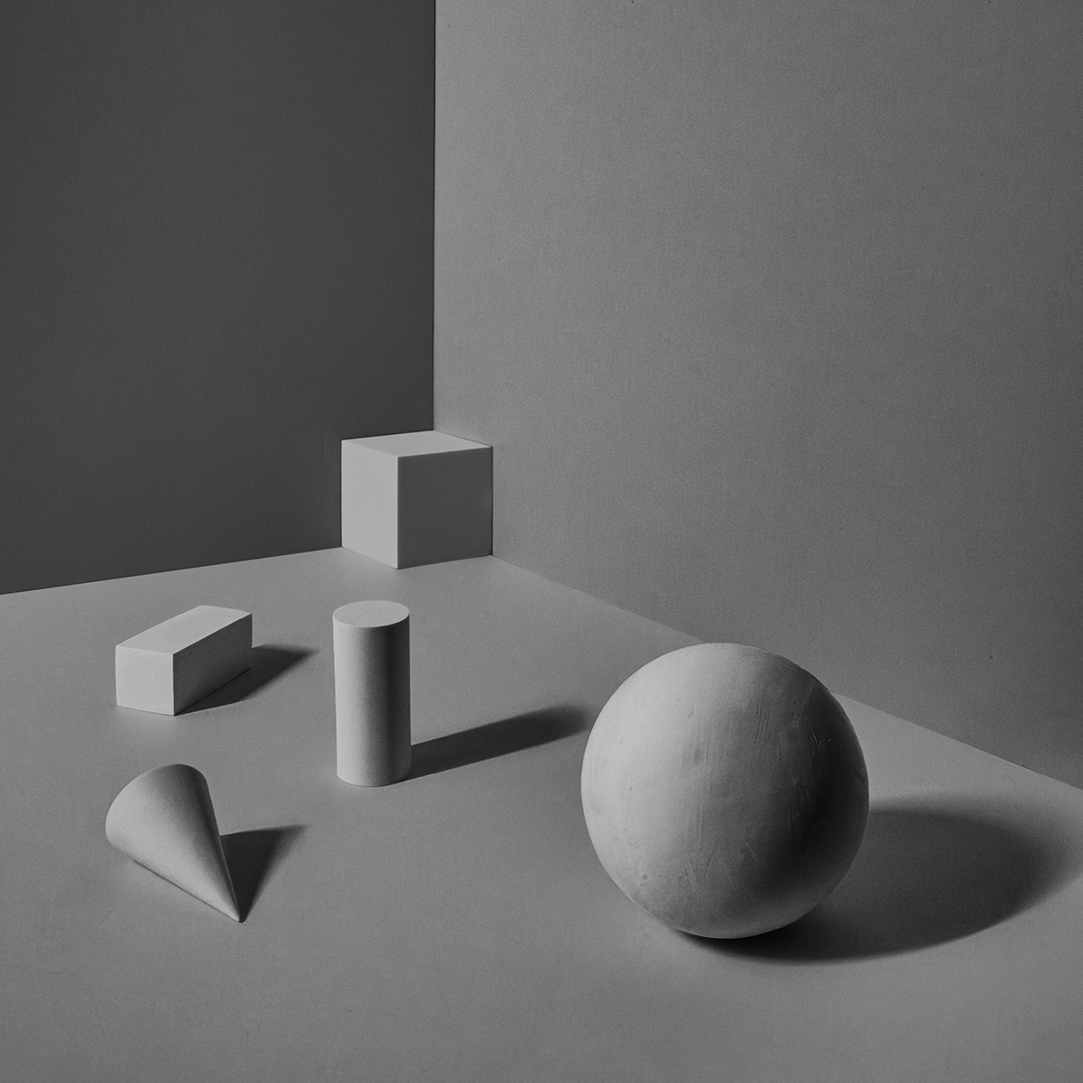 IN PRAISE OF SHADOWS