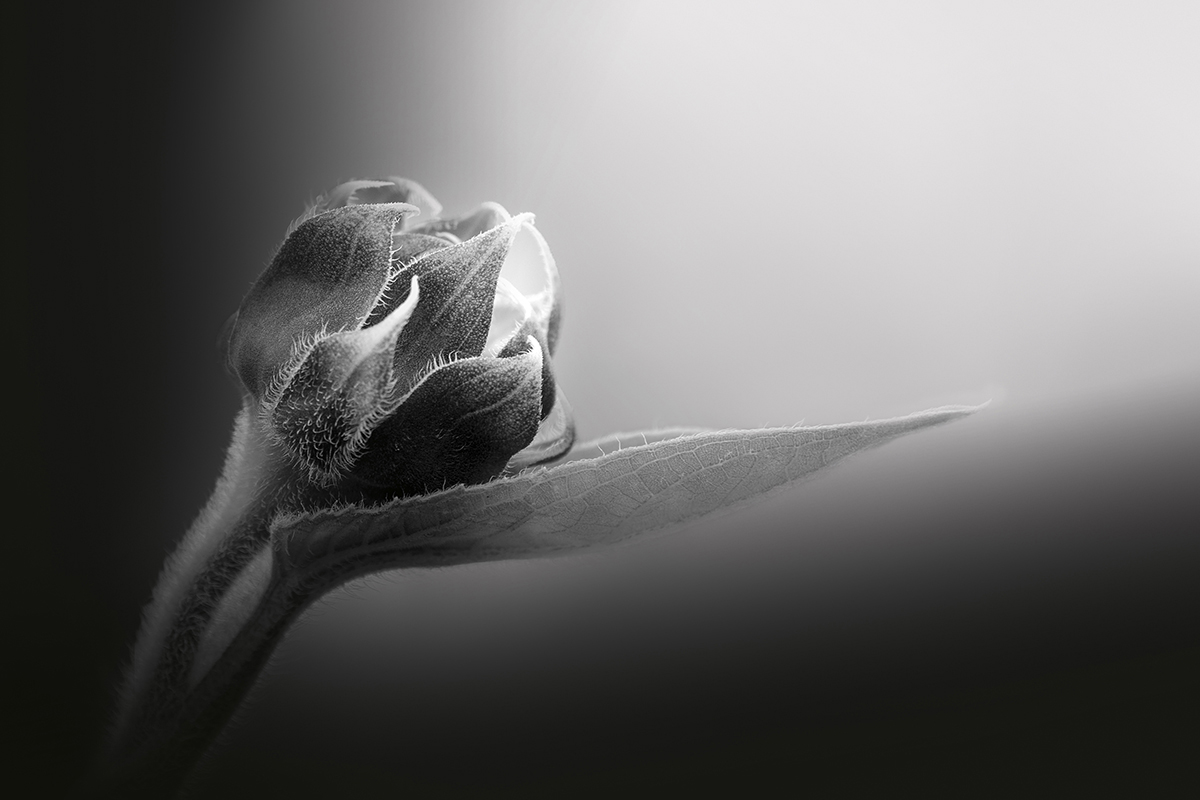 Moments in time