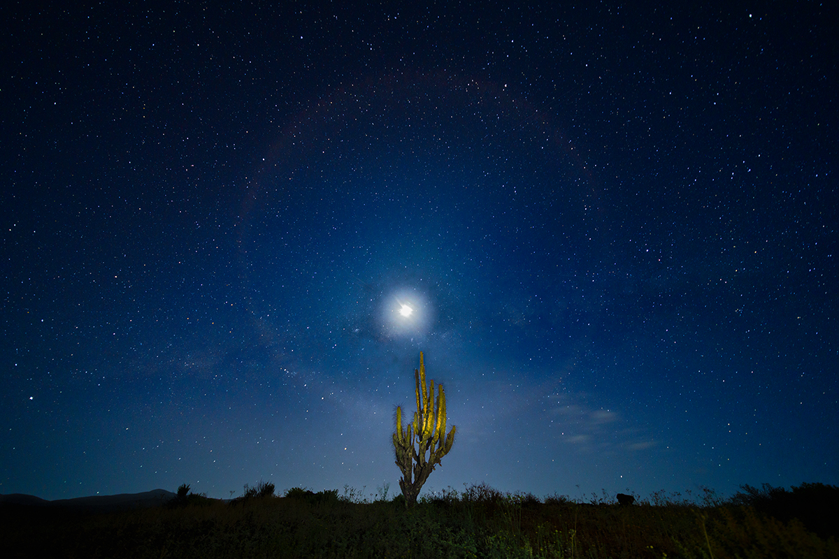 Witness of the Sky