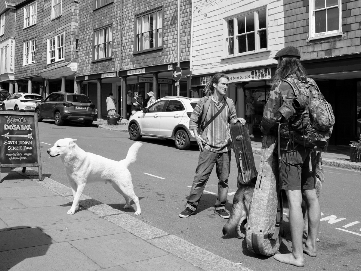 Totnes - Twinned With Narnia