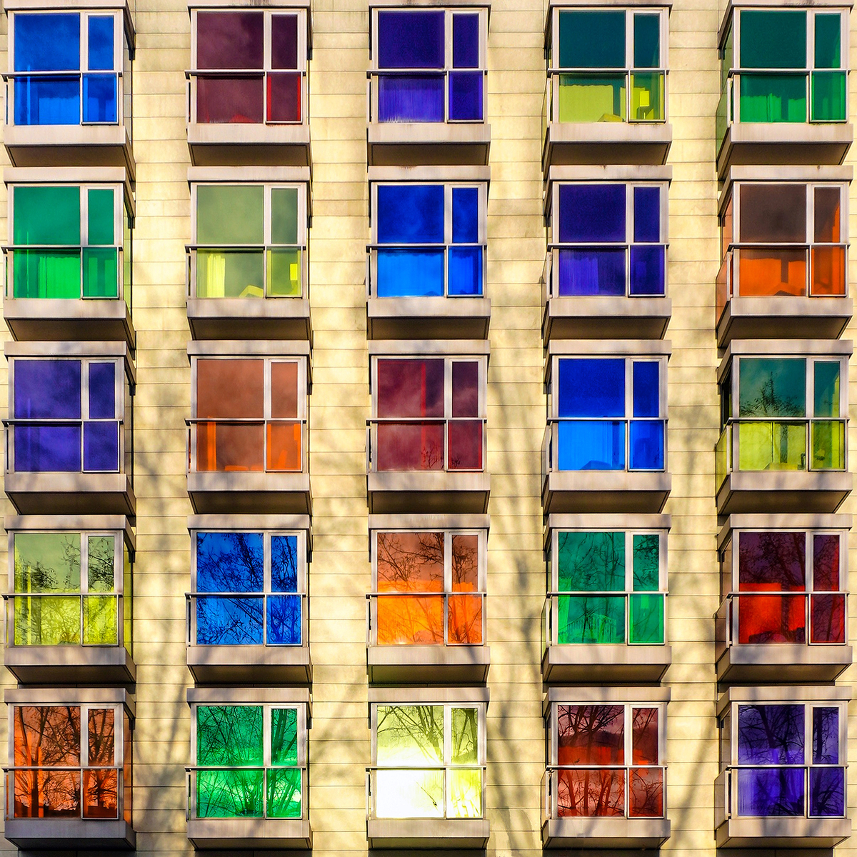 Windows 25.1