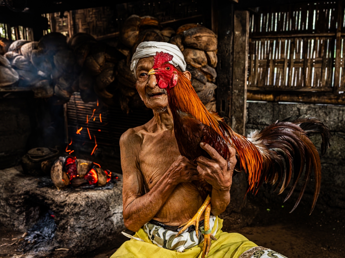 Fire and Feathers