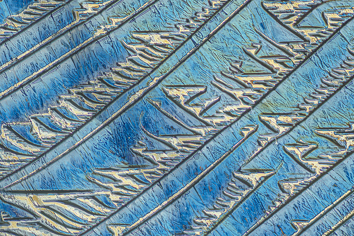 MICROCRYSTALS IN POLARIZED LIGHT, a mixture of urea and resorcinol.