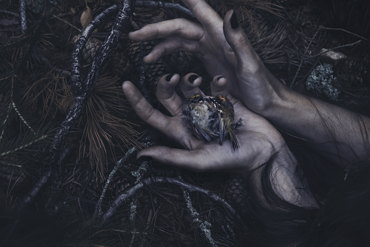 Their Lives in Our Hands