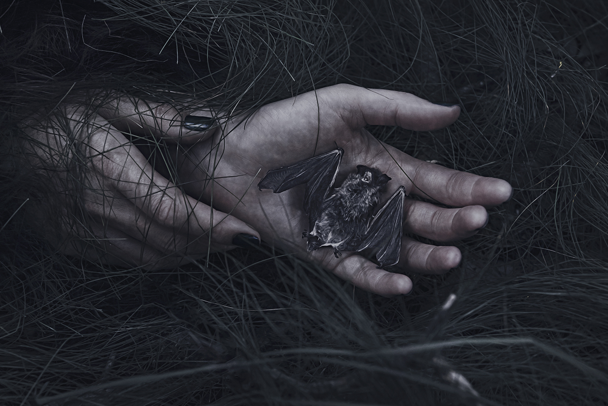 Their Lives in Our Hands