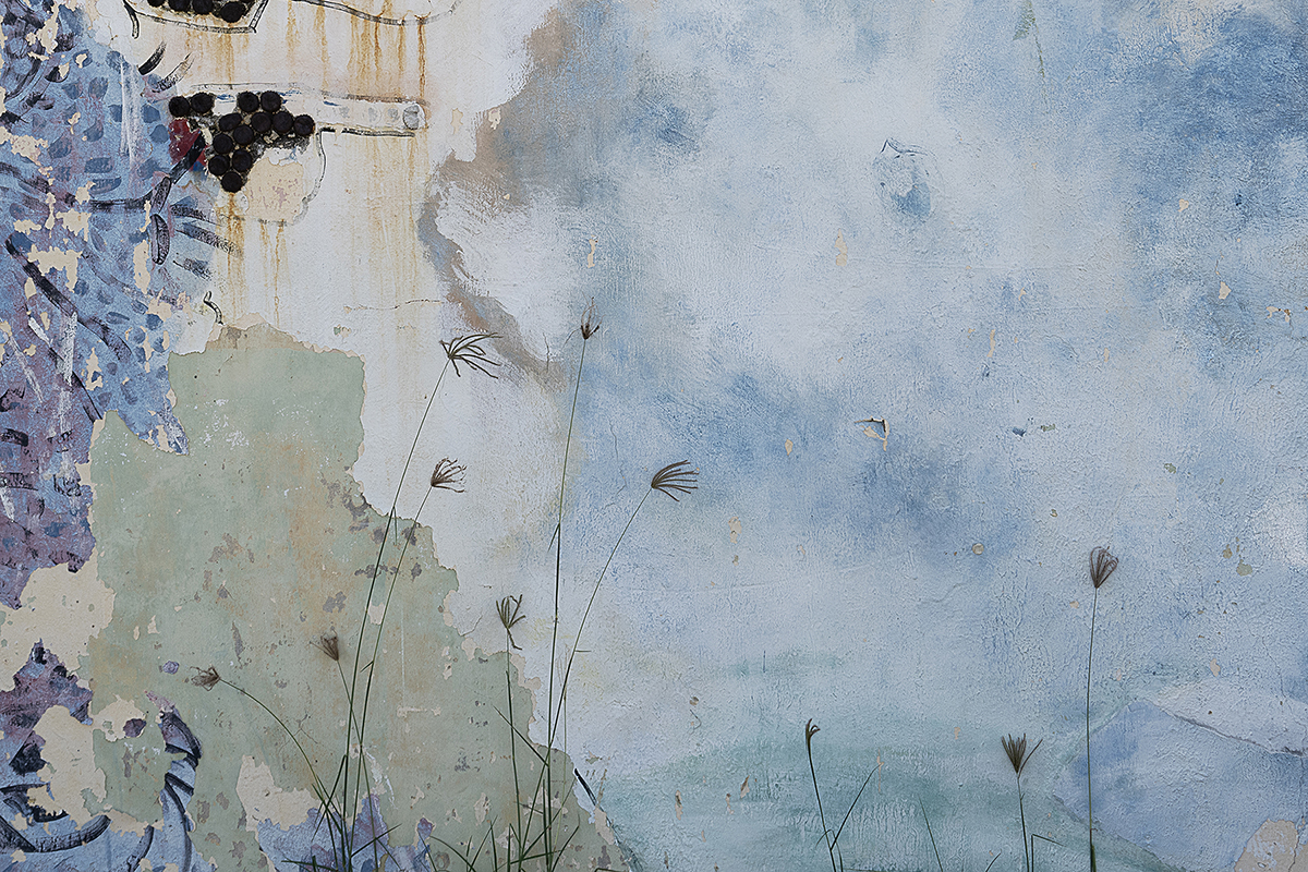 Wall, Weed, and Sky; Costa Norte, Dominican Republic