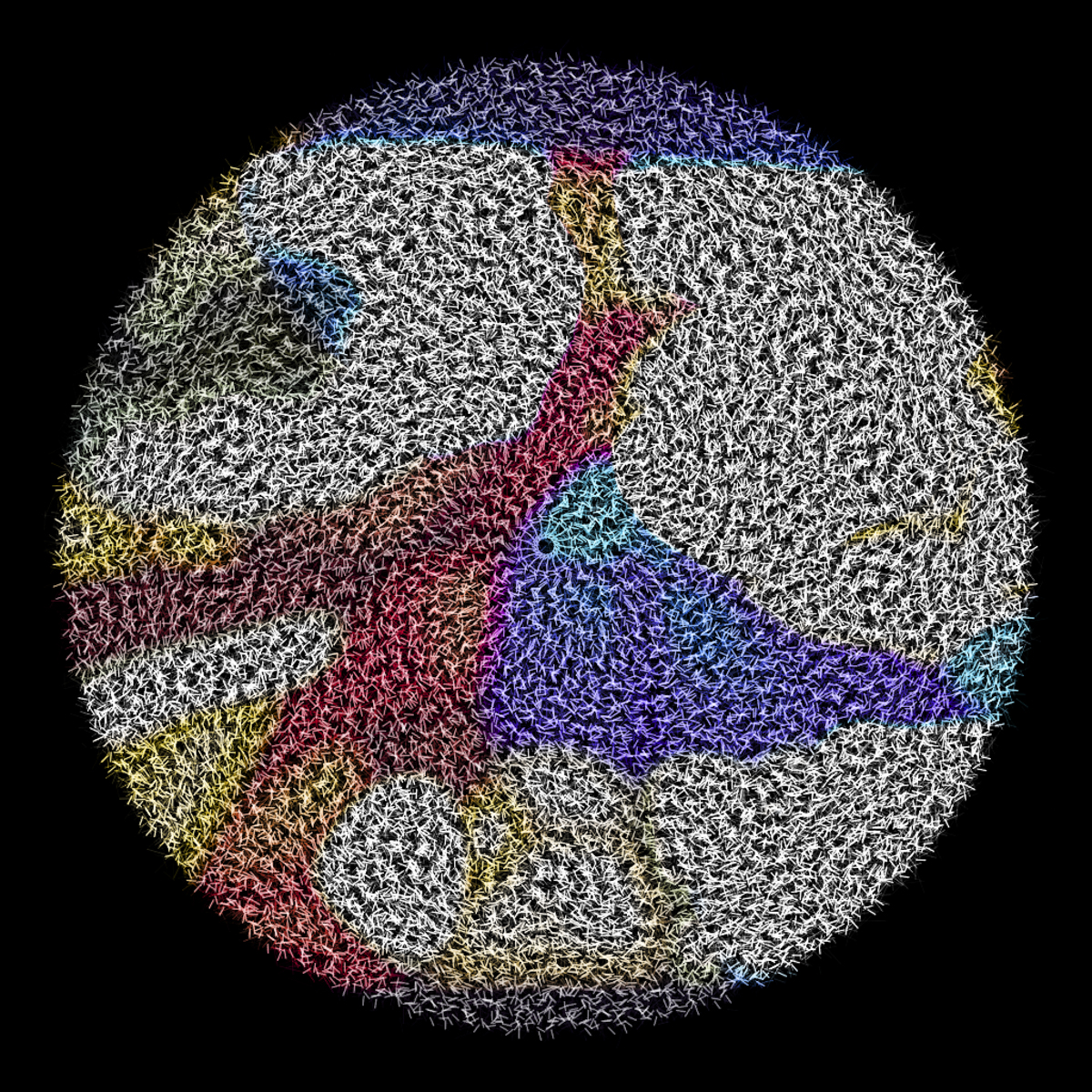 Lumiforms