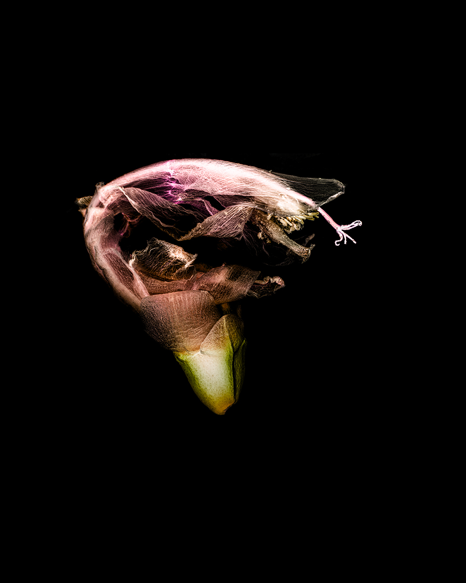 Infinite Presence