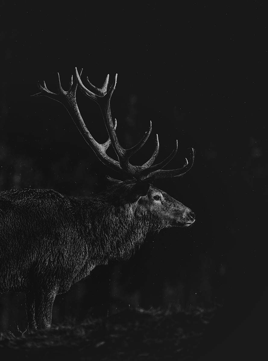 presence