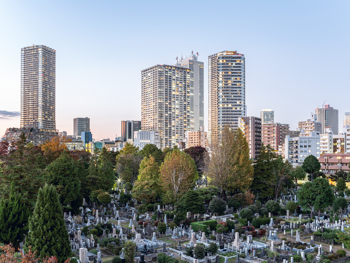 cotd - city of the dead