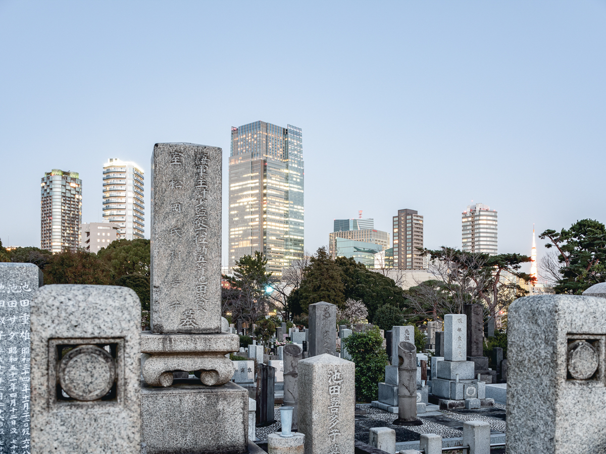 cotd - city of the dead
