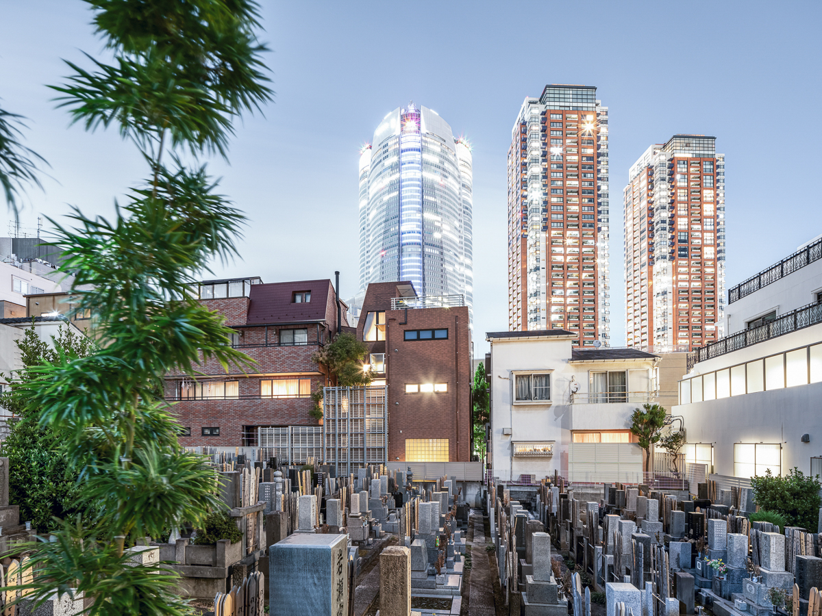 cotd - city of the dead