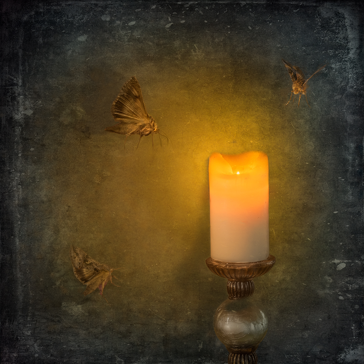 Like Moths To A Flame