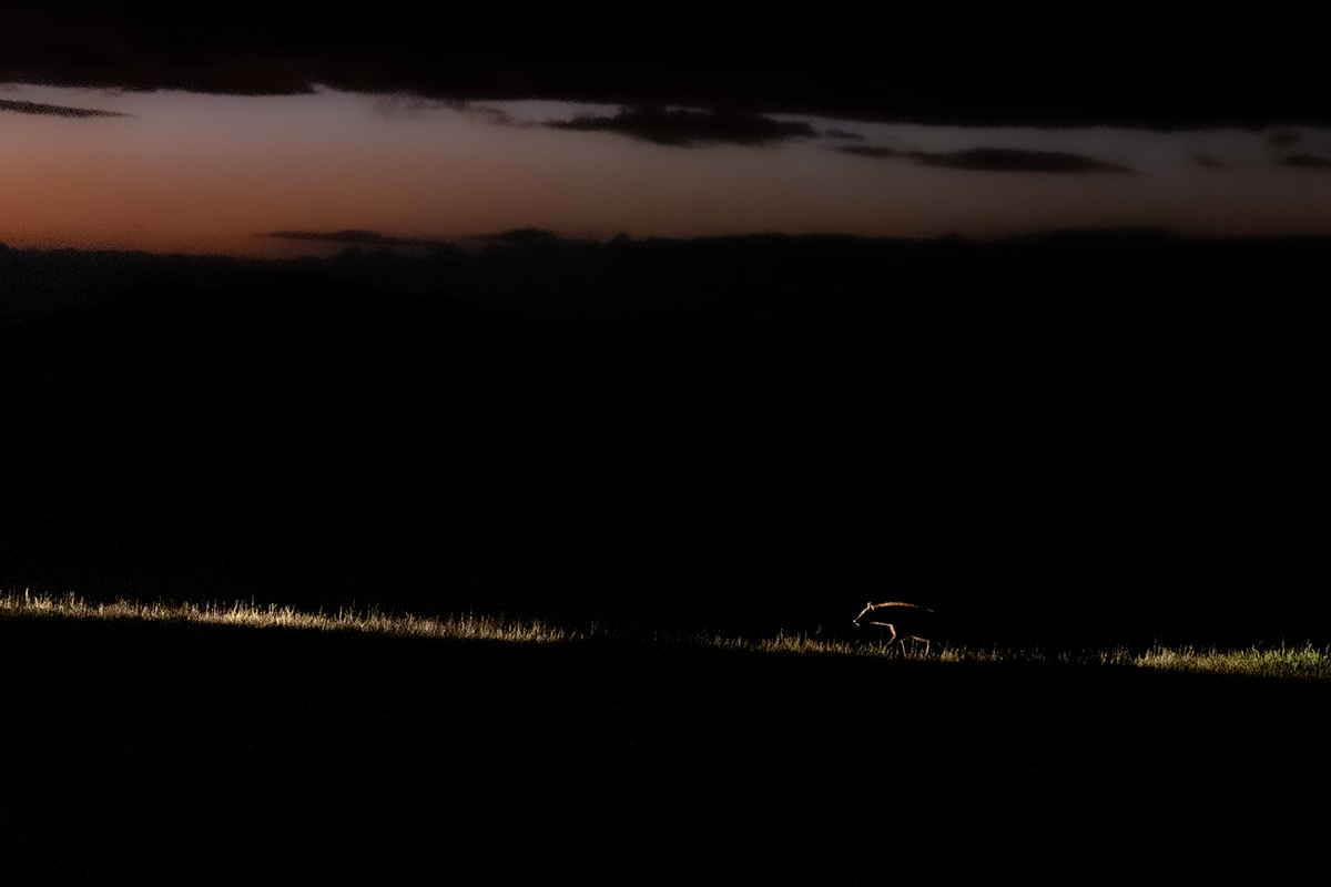 Edge of First Light