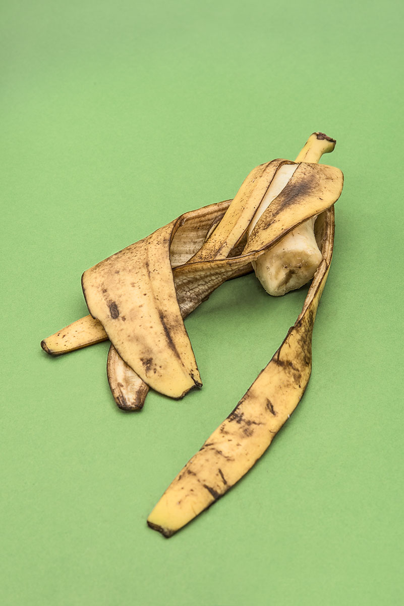 Sic transit gloria mundi (How ephemeral are things of the world)