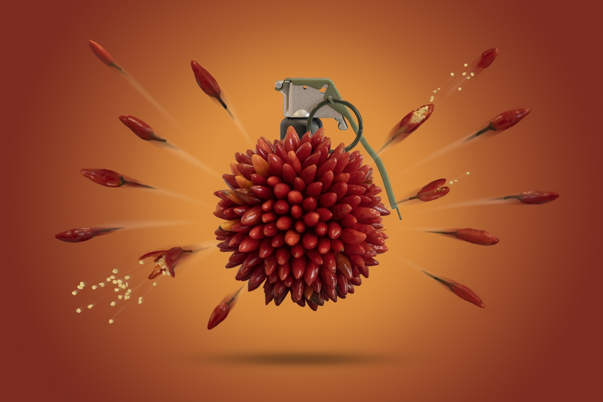 ANATOMY OF THE SPICY