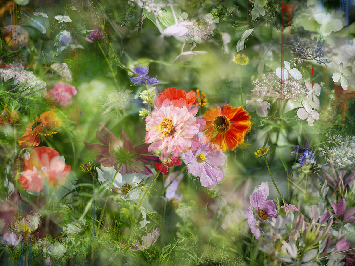 Confessions of an Untamed Mind Garden