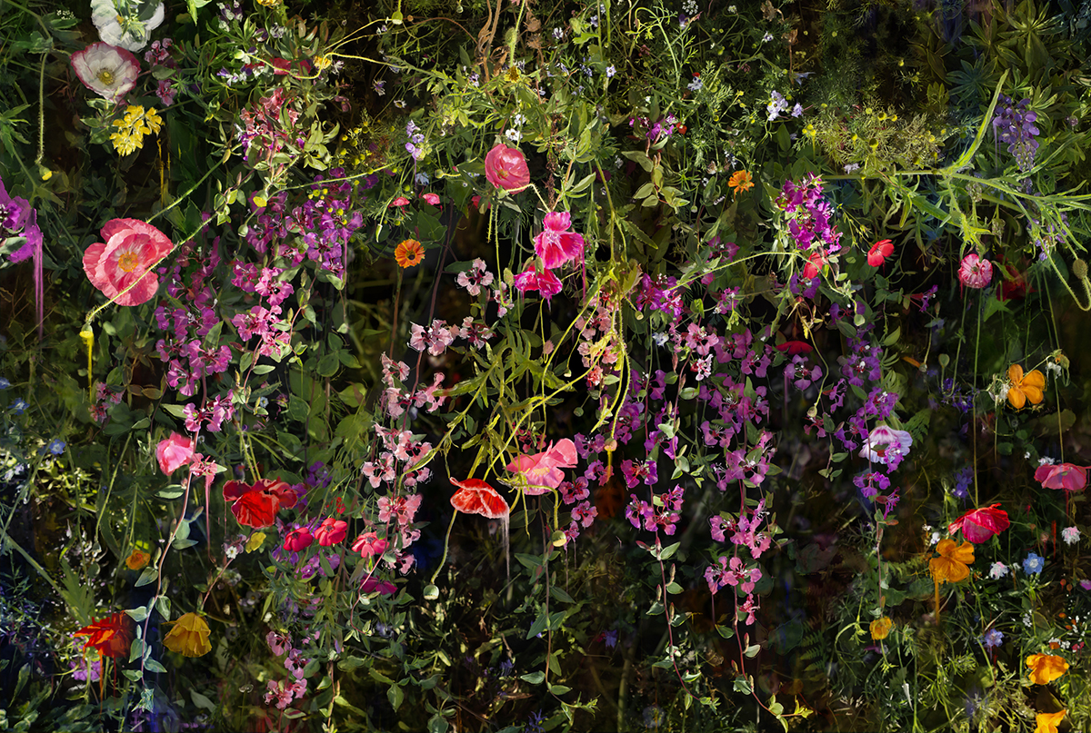 Confessions of an Untamed Mind Garden