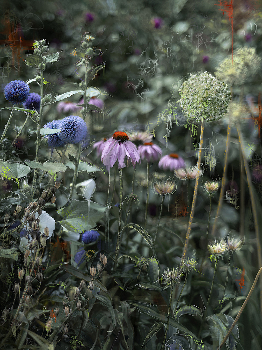 Confessions of an Untamed Mind Garden