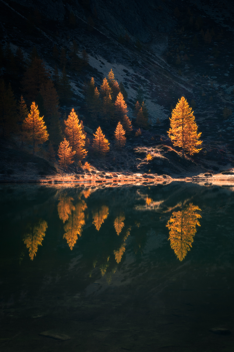 Descending Light