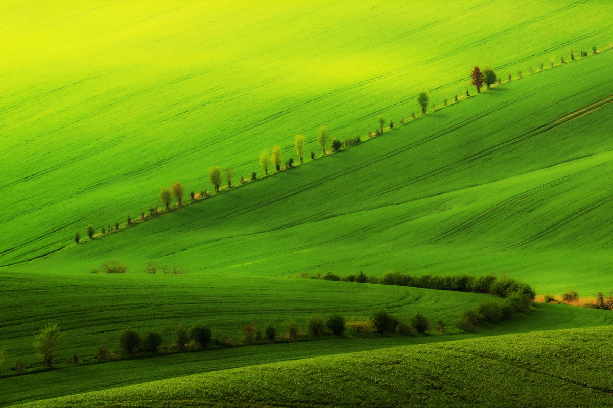 Moravian tuscany
