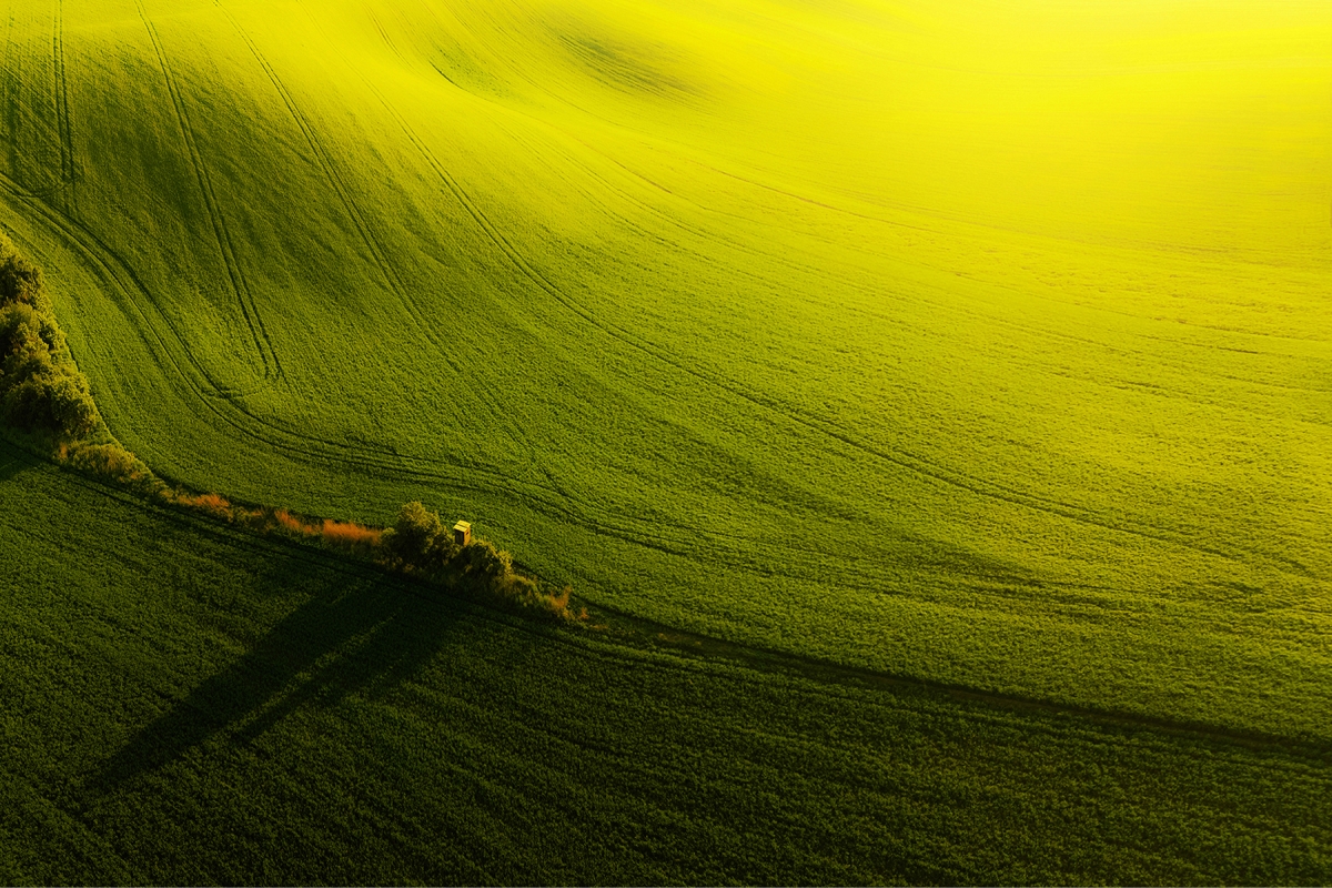 Moravian tuscany